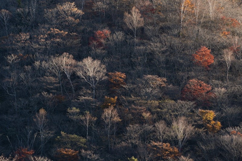 Mountain Landscape